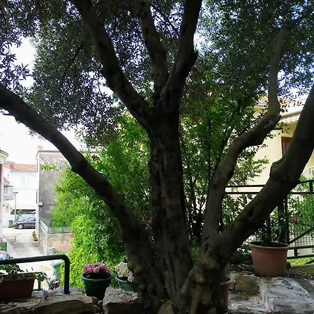 Dreams Apartment Makarska Exterior photo